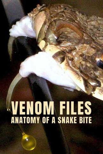 Póster de Anatomy of a Snake Bite