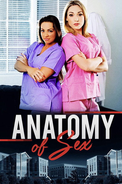 Póster de Anatomy of Sex
