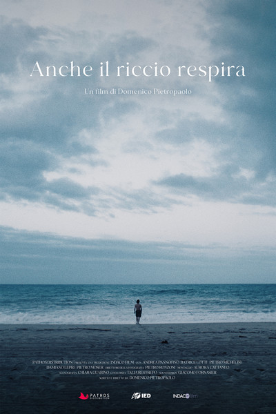 Póster de Anche il riccio respira