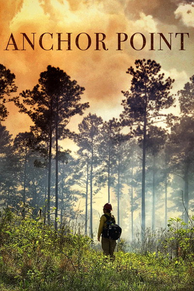 Póster de Anchor Point