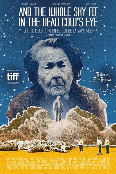 Póster de And the Whole Sky Fit in the Dead Cow's Eye