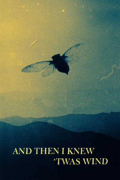Póster de And Then I Knew 'Twas Wind