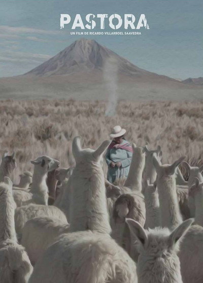 Póster de Andean Shepherdess