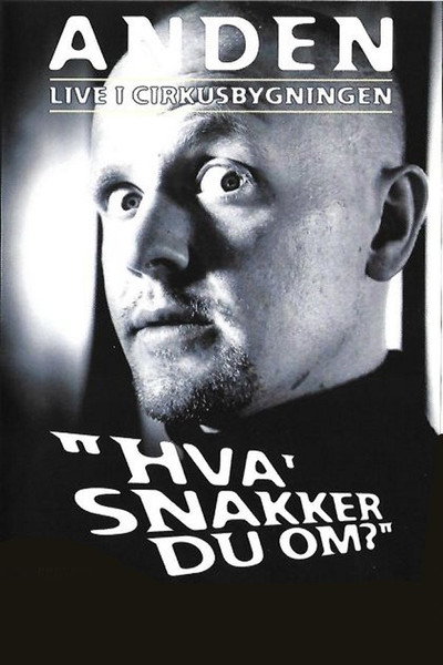 Póster de Anders Matthesen: Hva' snakker du om?