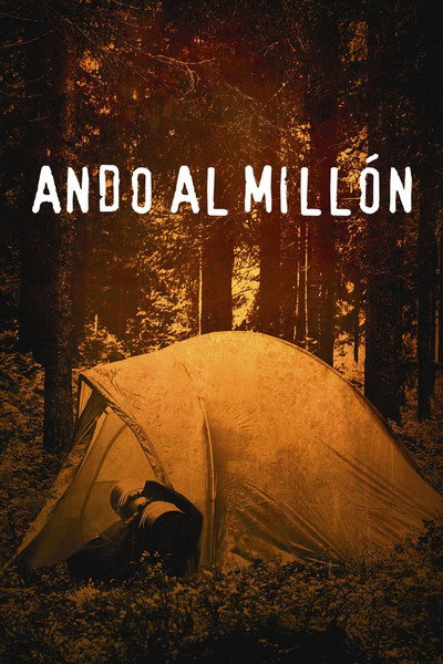 Póster de Ando al millón