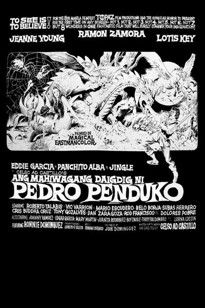 Póster de Ang mahiwagang daigdig ni Pedro Penduko