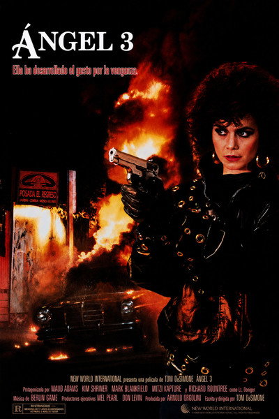 Póster de Angel 3