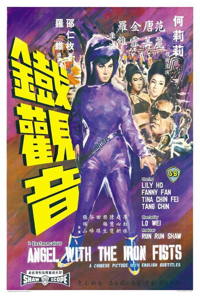 Póster de Angel with the Iron Fists