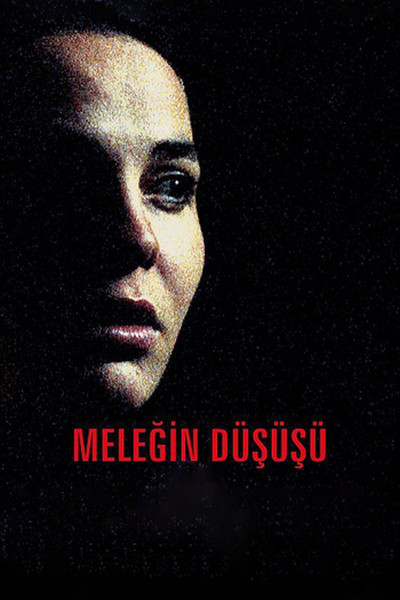 Póster de Angel's Fall