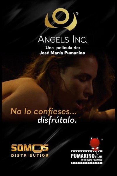Póster de Angels Inc