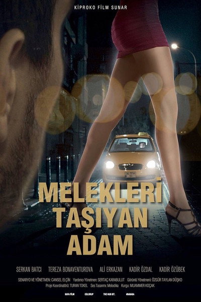 Póster de Angels' Shepherd