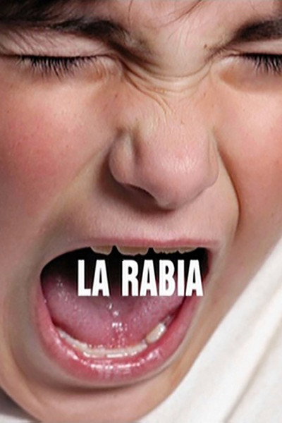 Póster de Anger