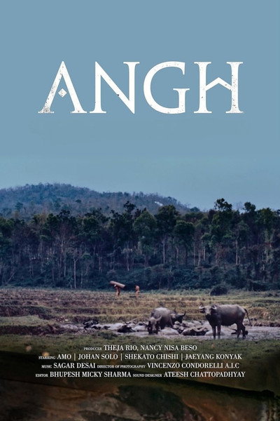 Póster de Angh