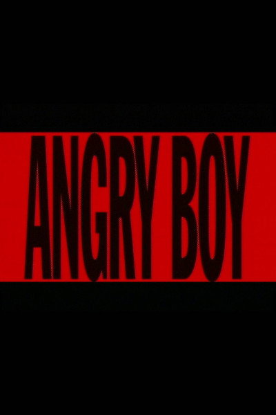 Póster de Angry Boy