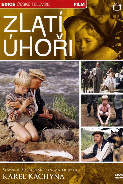 Póster de Anguilas de oro