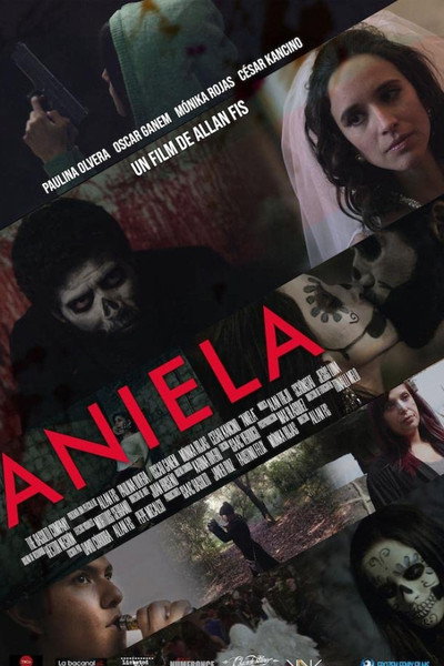 Póster de Aniela