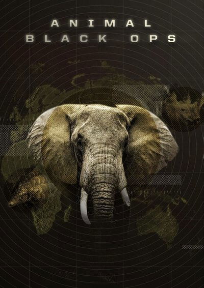 Póster de Animal Black Ops: Kenya