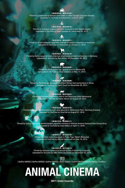 Póster de Animal Cinema
