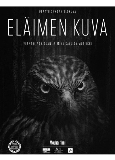 Póster de Animal Image