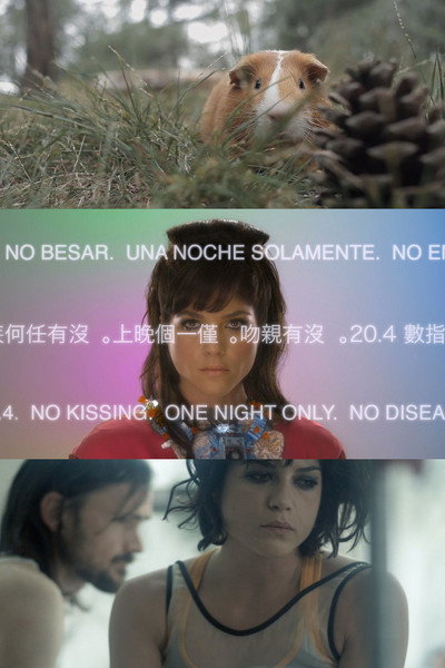 Póster de Animal Love