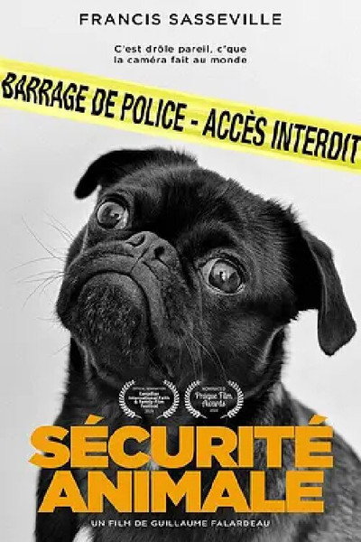 Póster de Animal Security