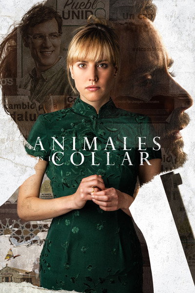 Póster de Animales sin collar