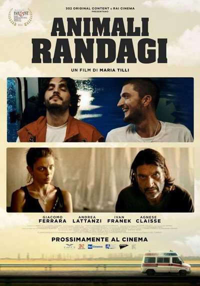 Póster de Animali randagi