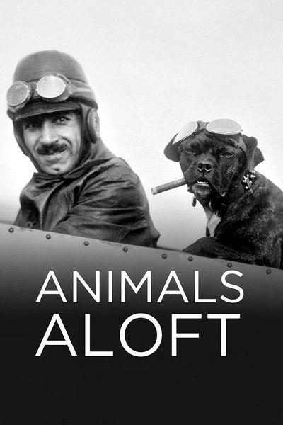 Póster de Animals Aloft