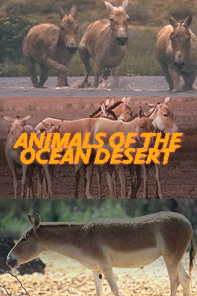 Póster de Animals of the Ocean Desert