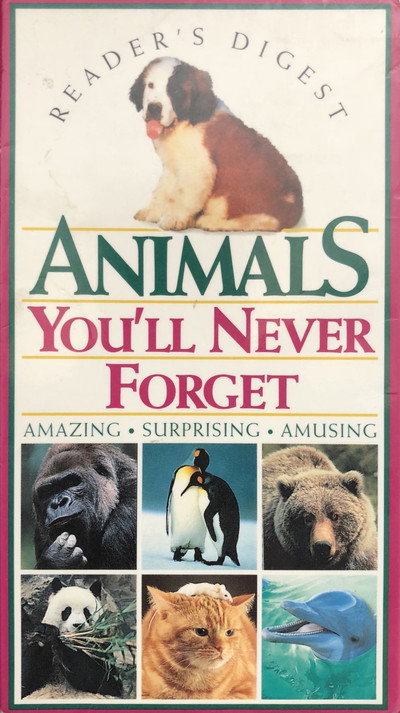 Póster de Animals You'll Never Forget