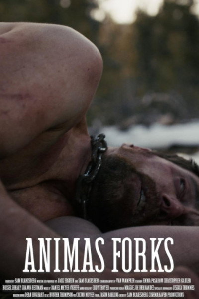 Póster de Animas Forks