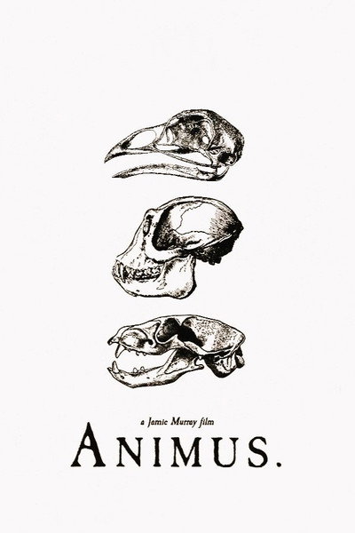 Póster de Animus