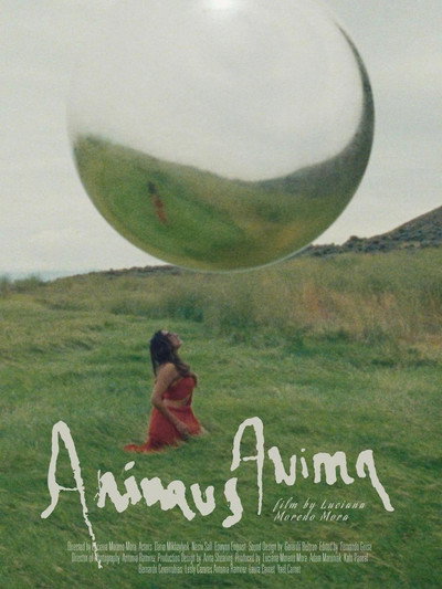 Póster de Animus Anima