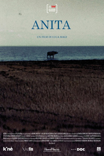 Póster de Anita