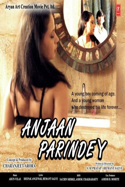 Póster de Anjaan Parindey