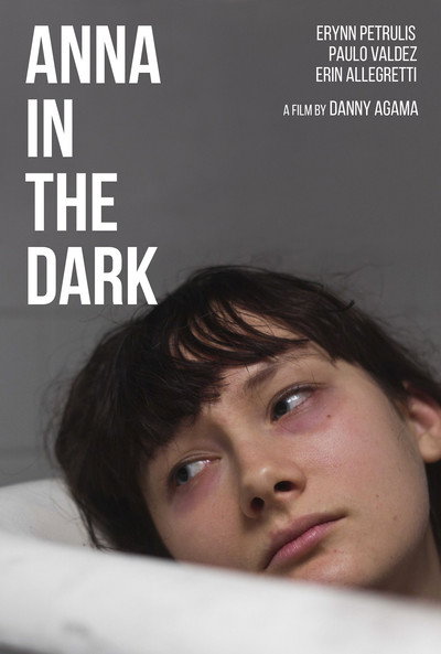 Póster de Anna in the Dark