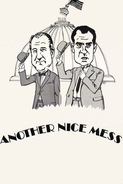 Póster de Another Nice Mess