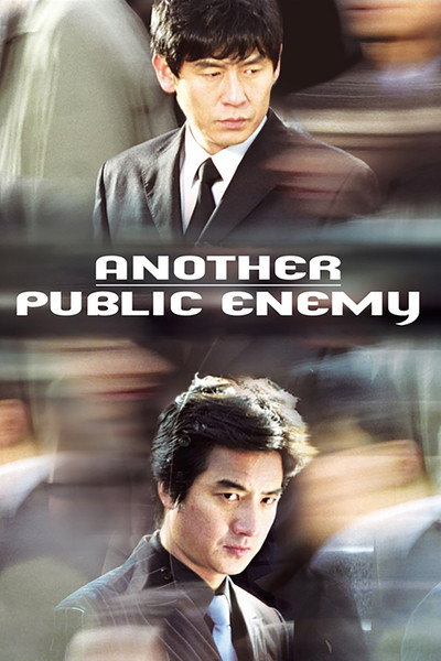 Póster de Another Public Enemy