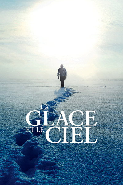 Póster de Antarctica: Ice and Sky