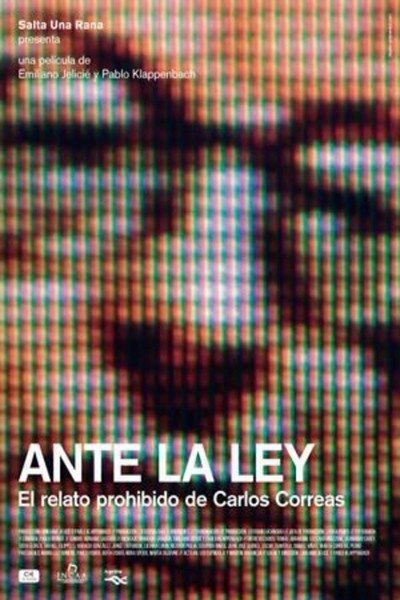Póster de Ante la ley