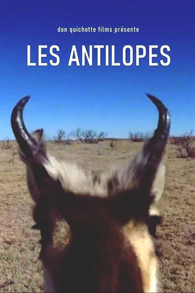 Póster de Antelopes