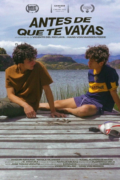 Póster de Antes de que te vayas
