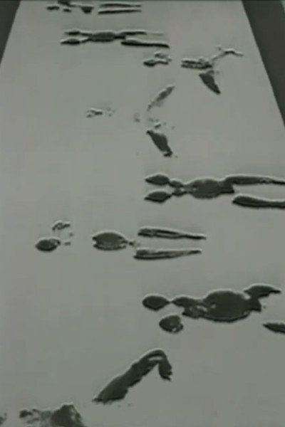Póster de Anthropometries of the Blue Period and Fire Paintings: Two Performances