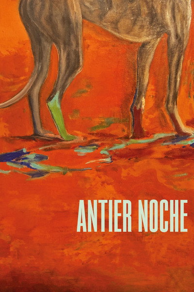 Póster de Antier noche