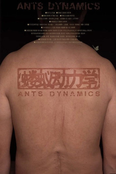 Póster de Ants Dynamics