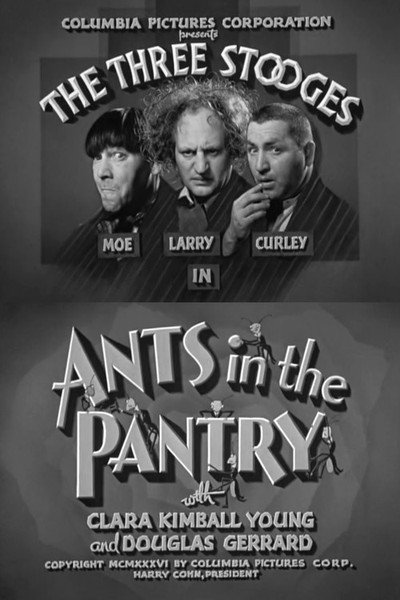 Póster de Ants in the Pantry
