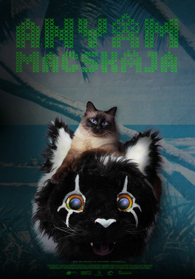 Póster de Anyám macskája