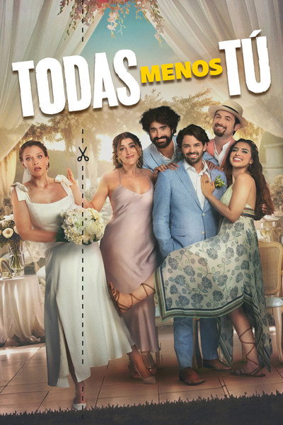 Póster de Anyone But Her