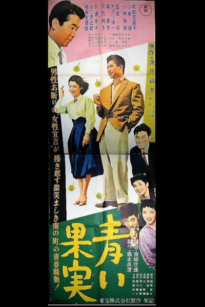 Póster de Aoi kajitsu
