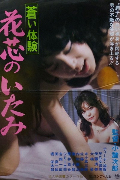 Póster de Aoi taiken: Kashin no itami